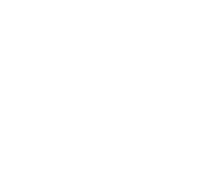 overlay sanorra logo